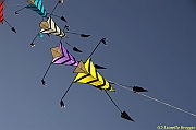 32 FESTIVAL CERVIA 2012 - 061